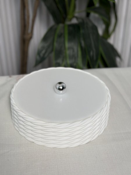 مضيفة جبصين