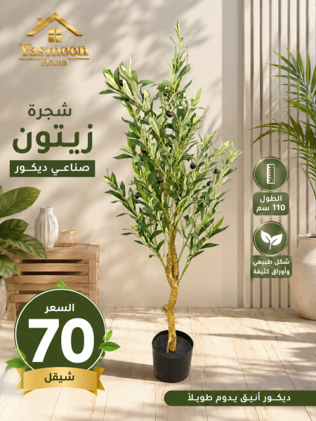 شجرة زيتون